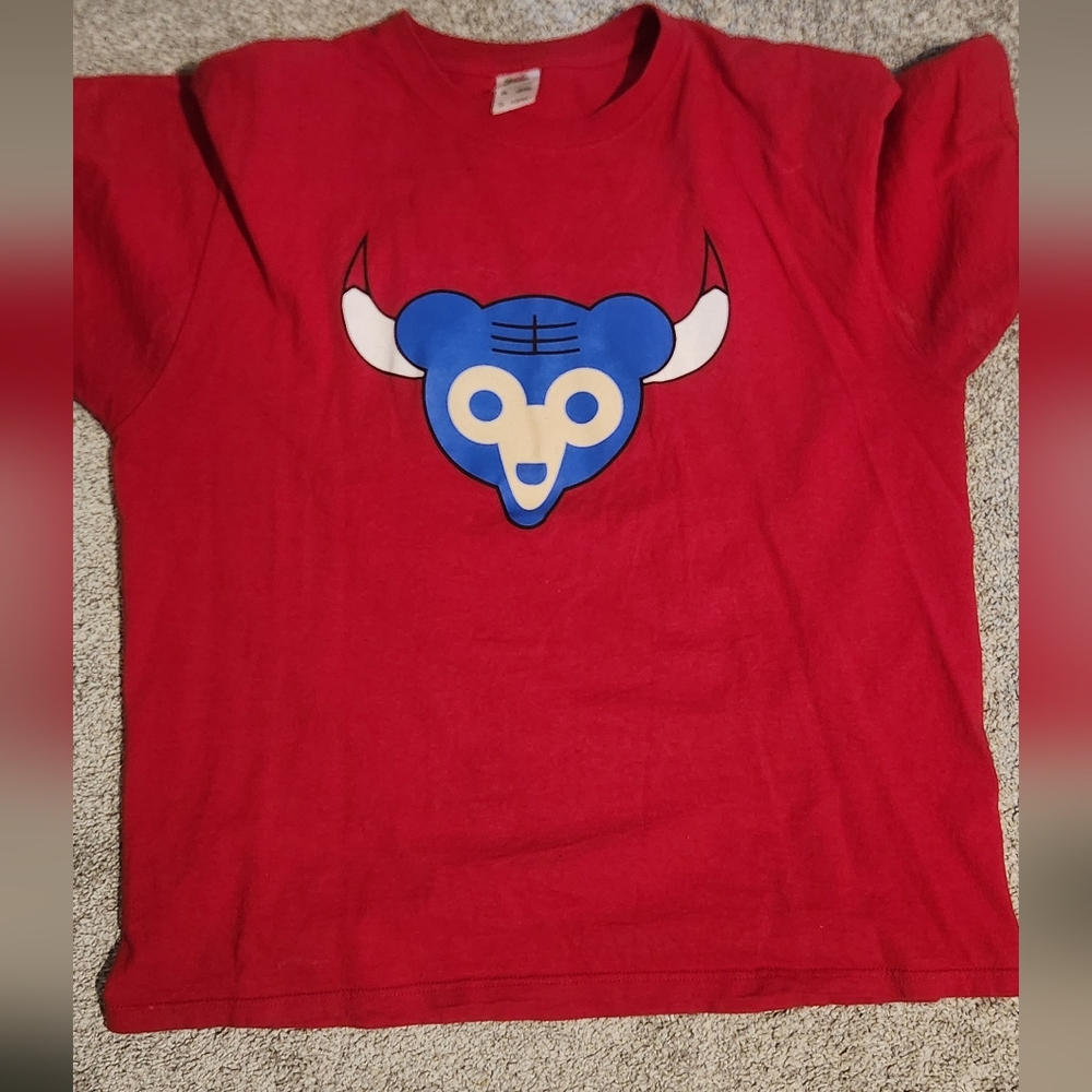 Bulls and cubs calab Graphic t
